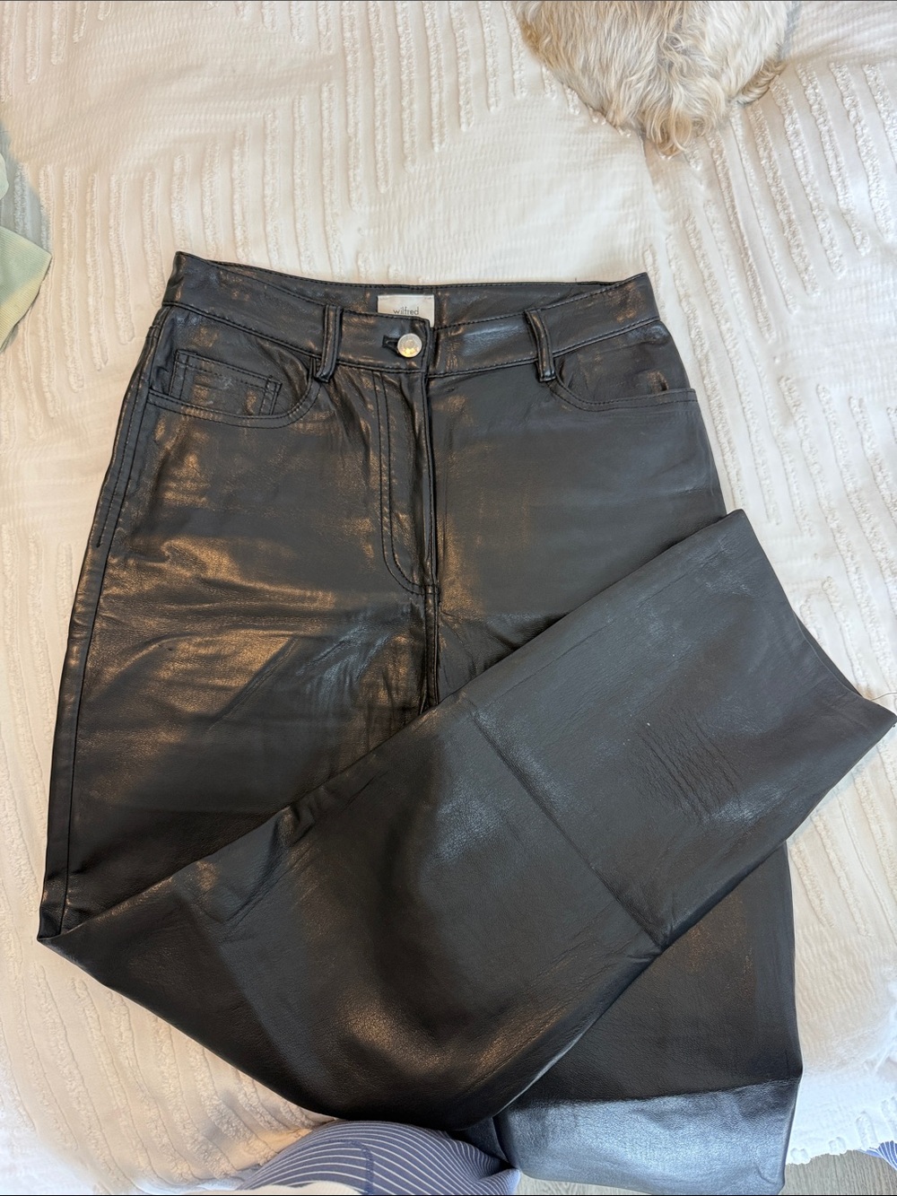 Aritzia Wilfred Leather Pants